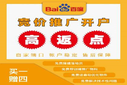 百度SEO推广案例：实战解析与优化建议
